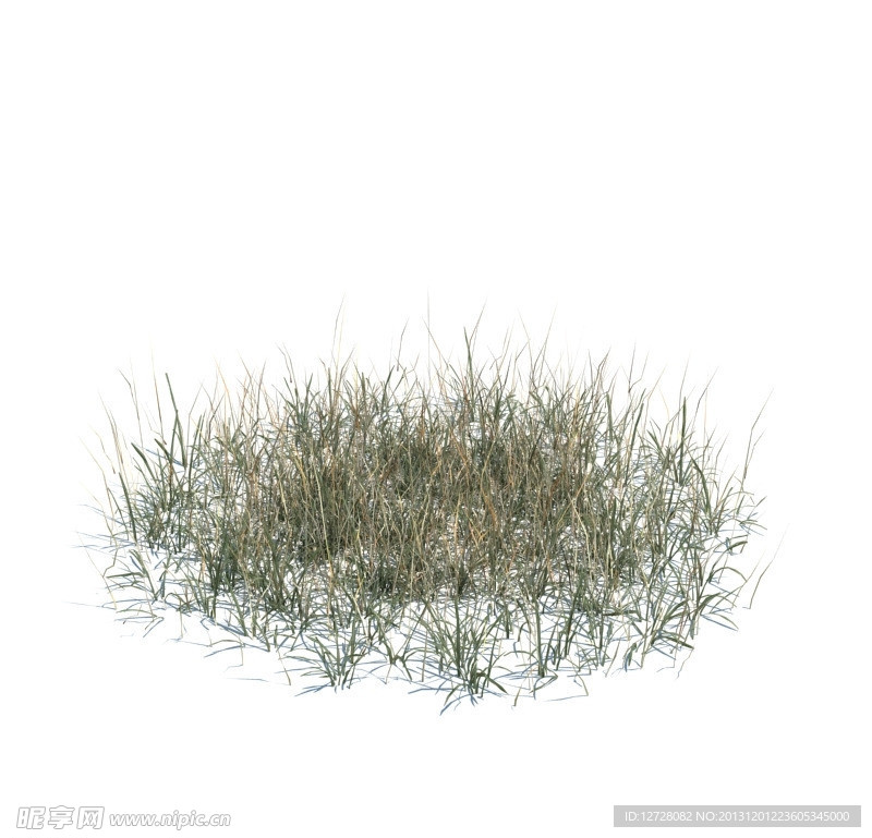 植物模型 小草模型