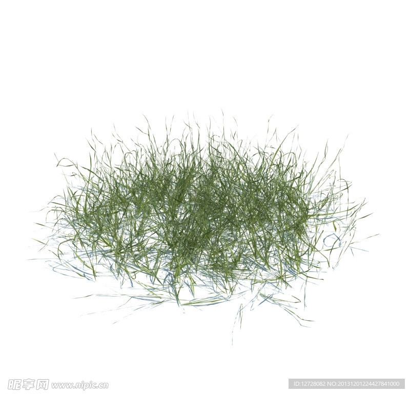 植物模型 小草模型