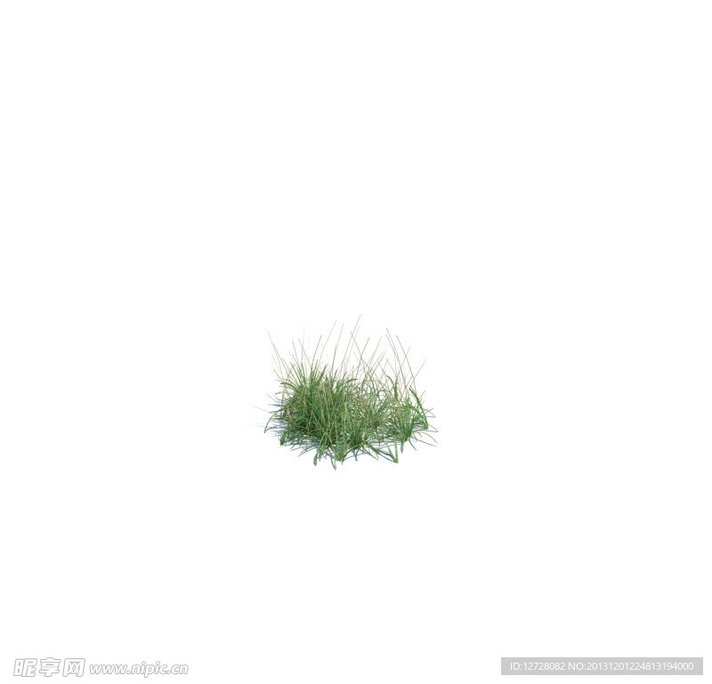 植物模型 小草模型