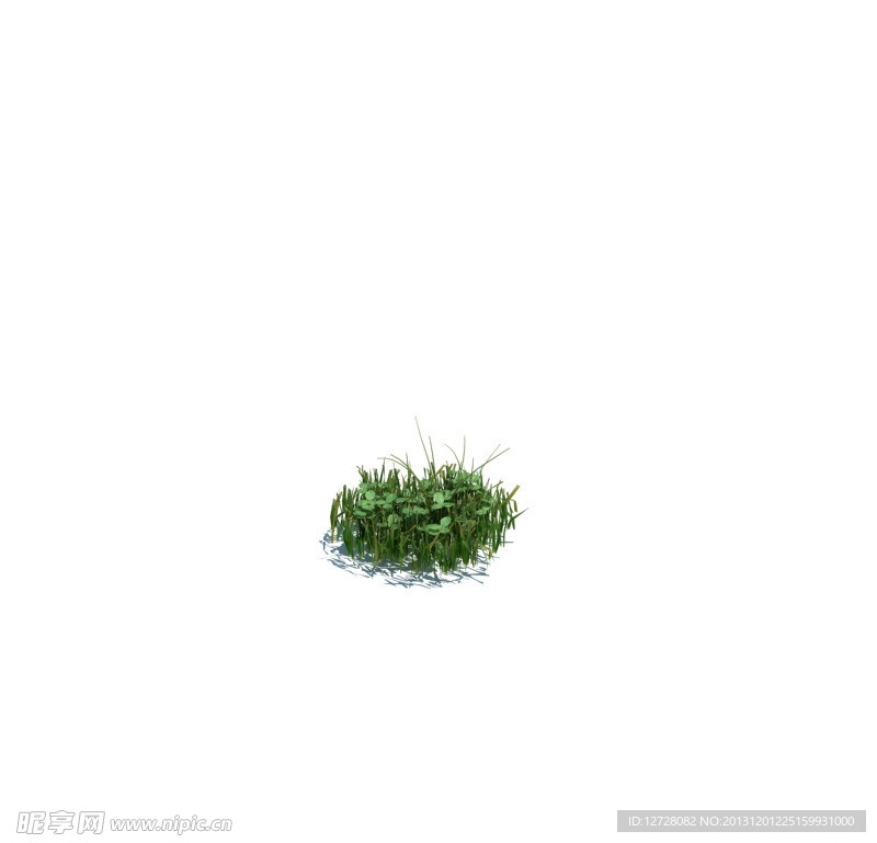 植物模型 小草模型
