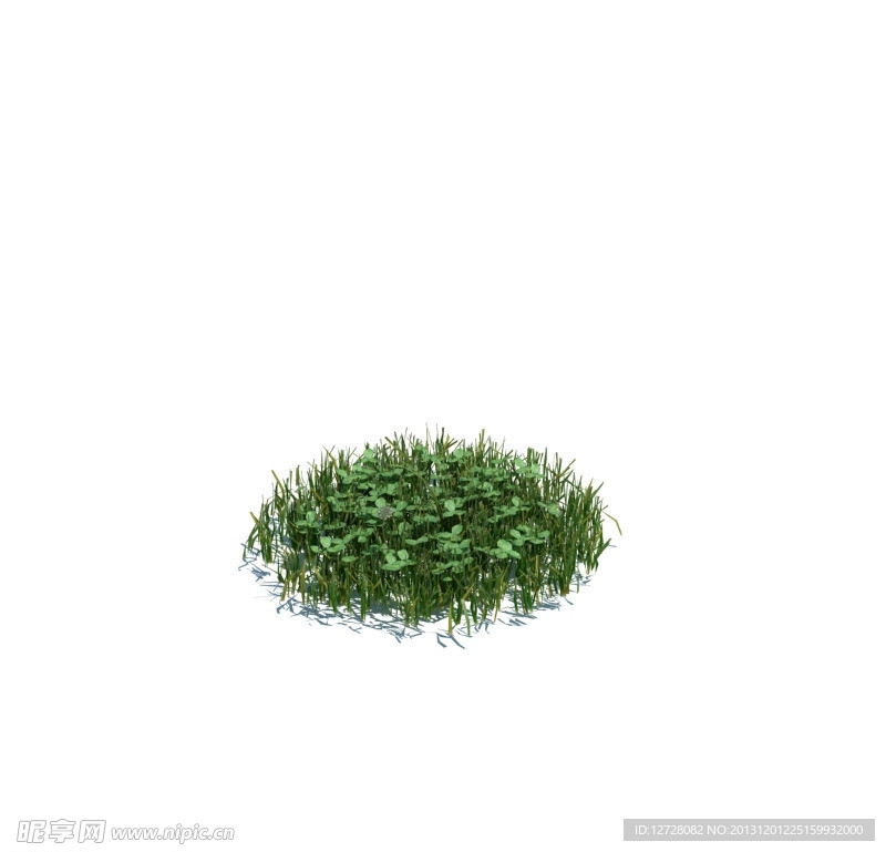 植物模型 小草模型