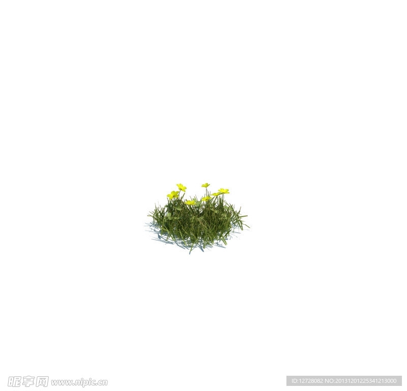 植物模型 小草模型