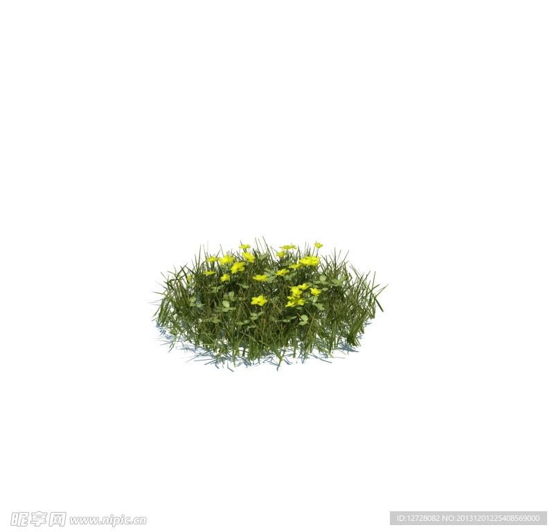 植物模型 小草模型