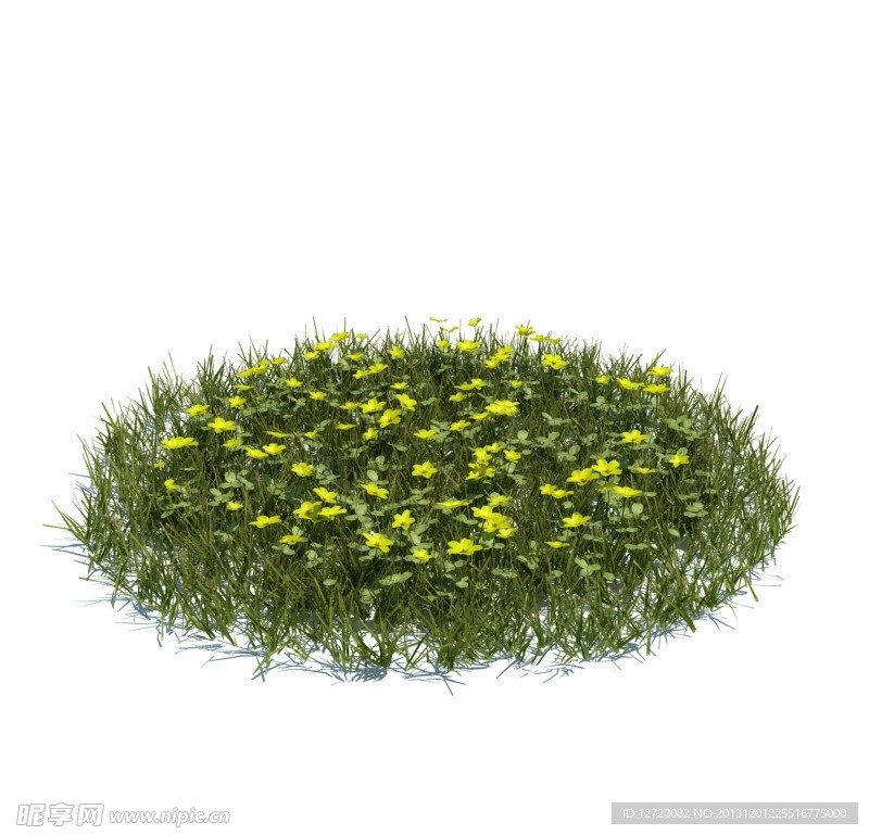 植物模型 小草模型