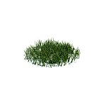 植物模型 小草模型