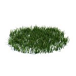 植物模型 小草模型