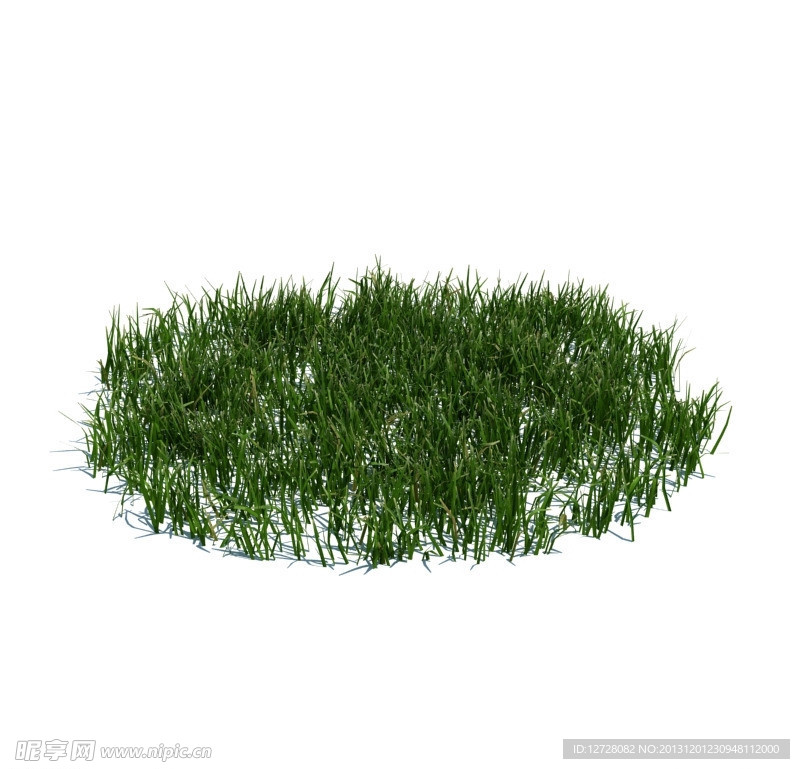 植物模型 小草模型