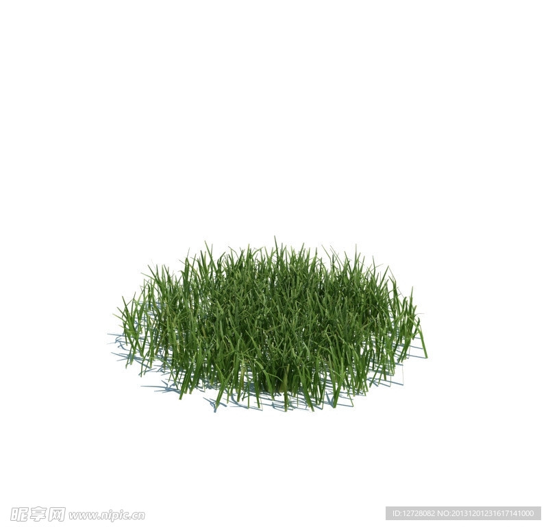 植物模型 小草模型