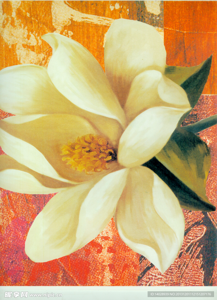 花卉油画