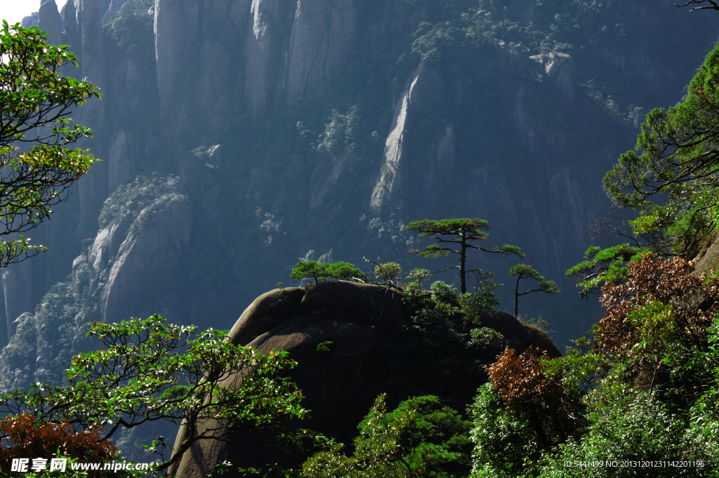 三清山迎客松