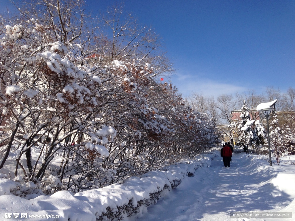 白雪