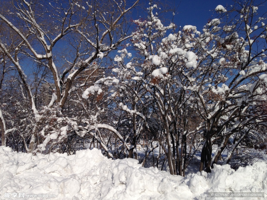 冰雪