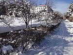 冰雪