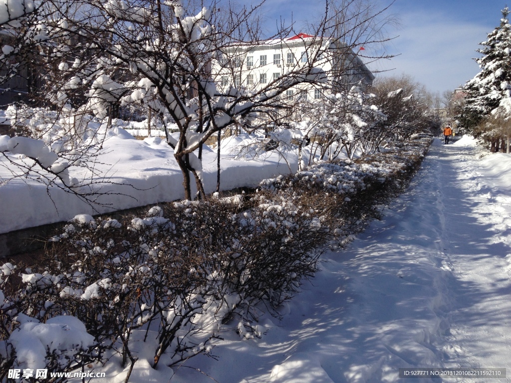 冰雪