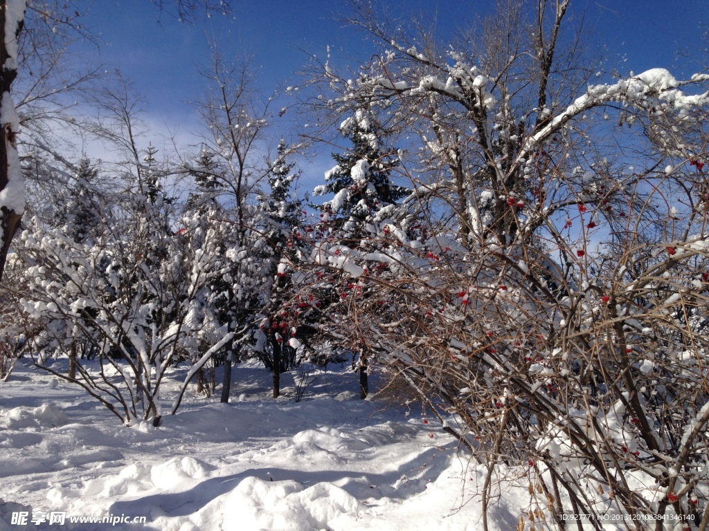 白雪