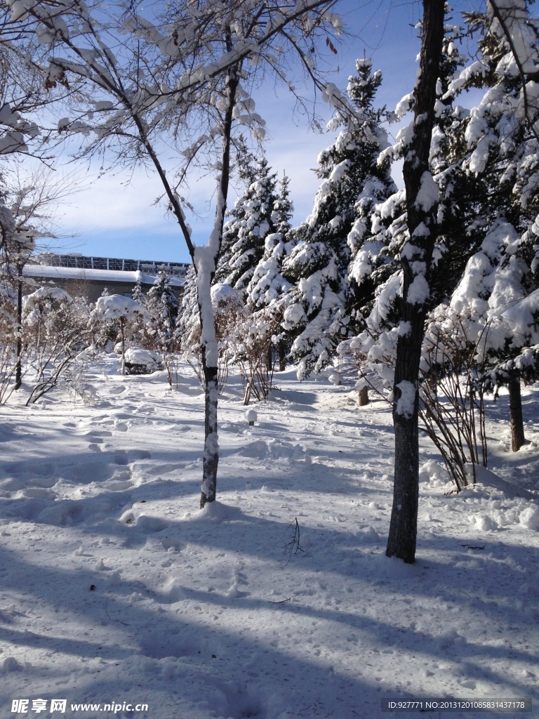 白雪