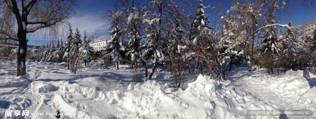 白雪