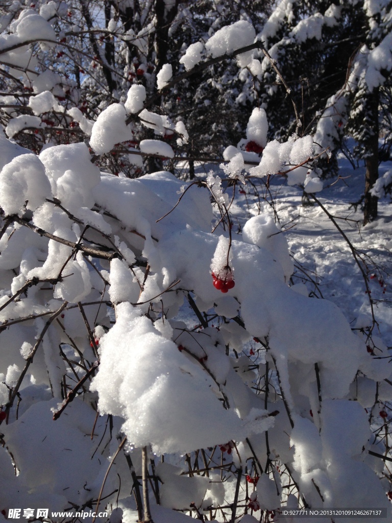 冰雪