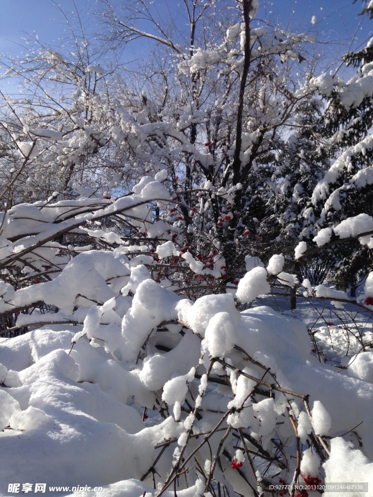 冰雪