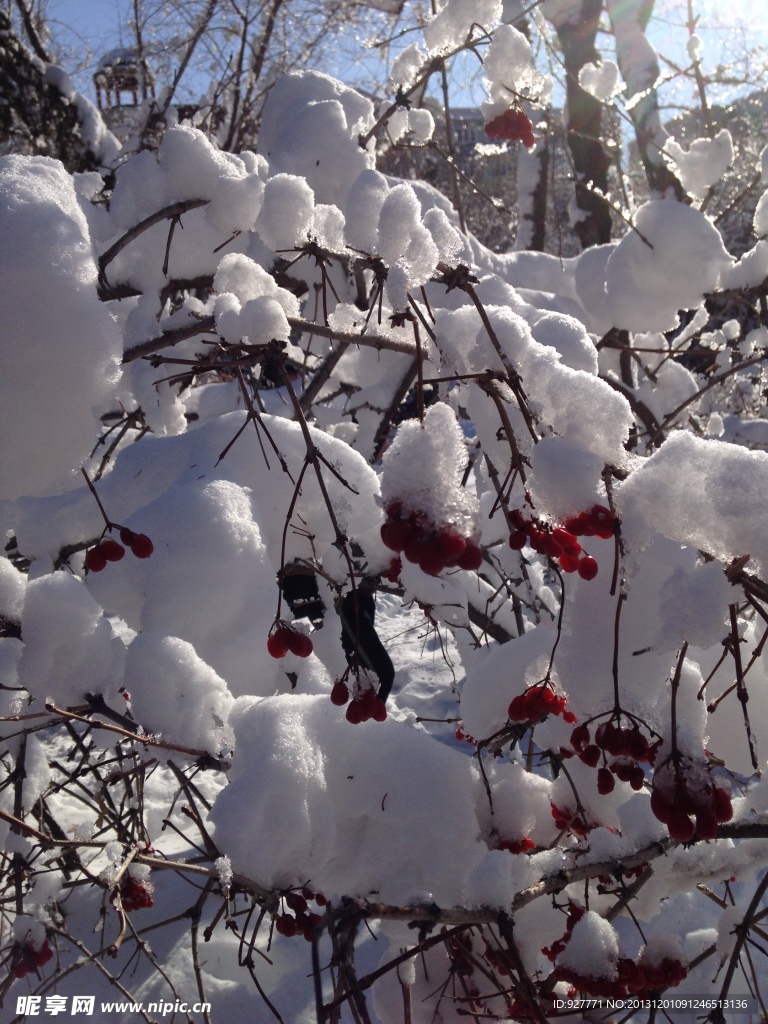冰雪