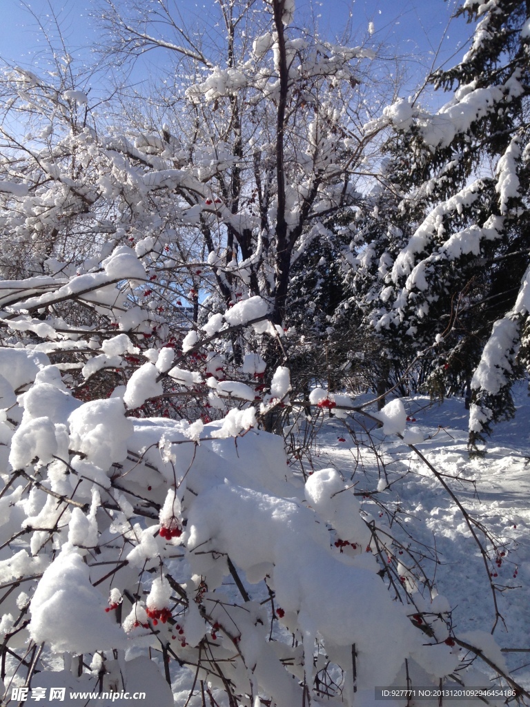 冰雪