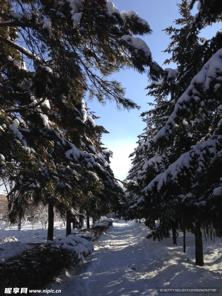 雪景