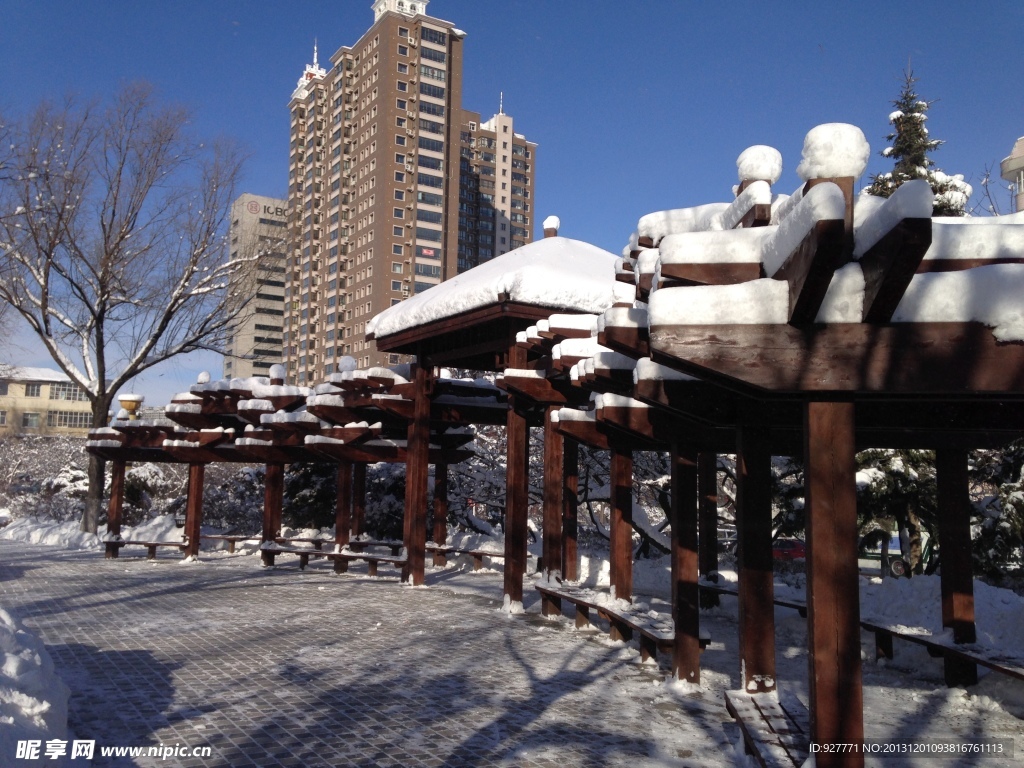 雪景