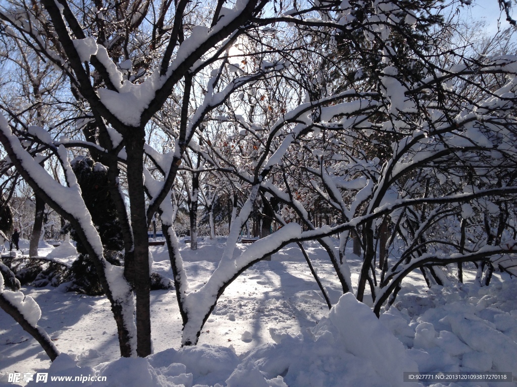 白雪
