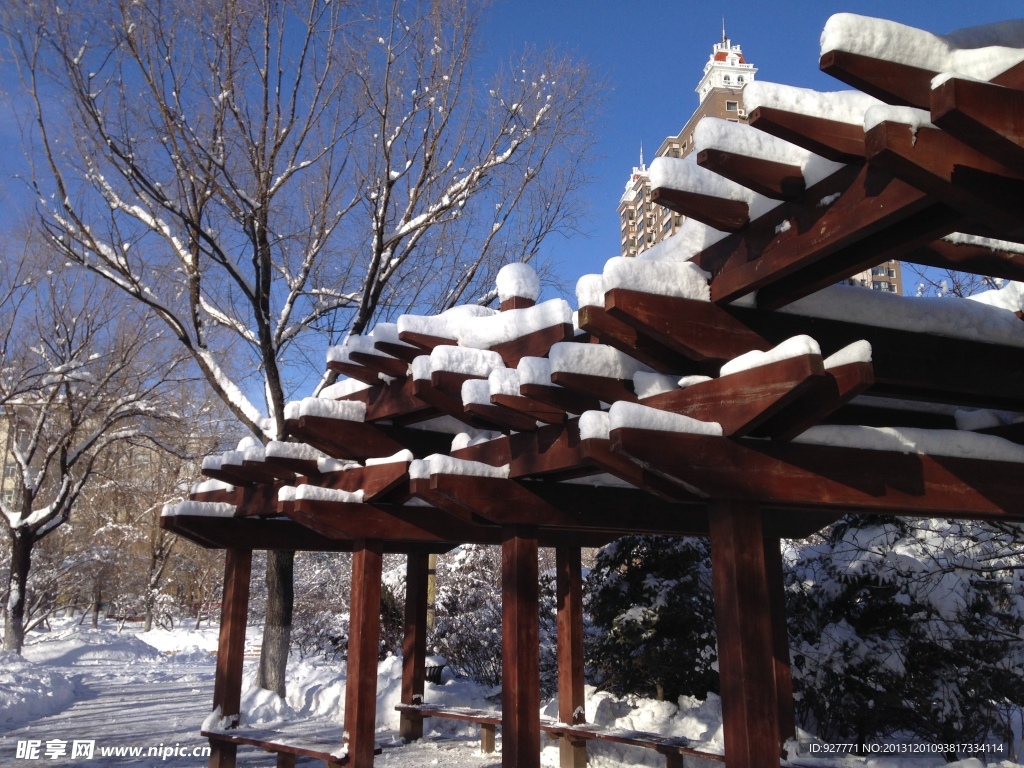 白雪