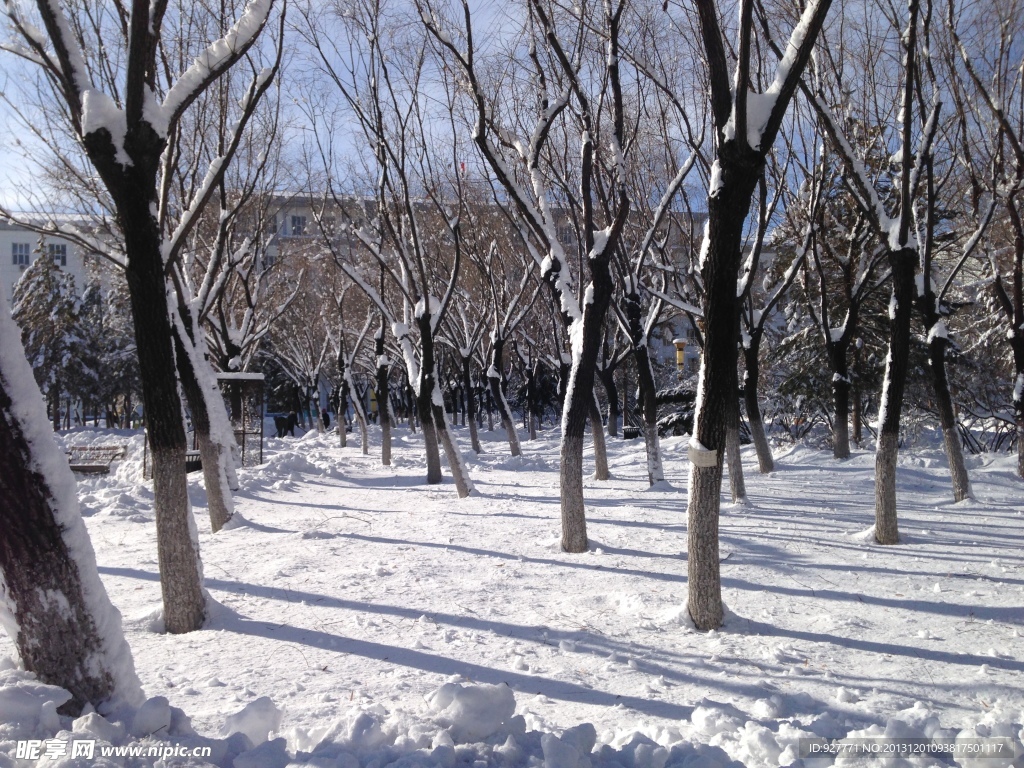 白雪