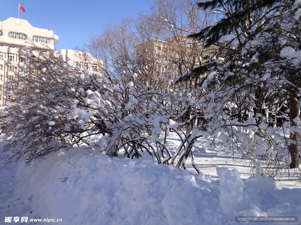 白雪