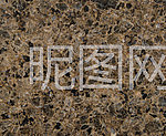 巴金钻