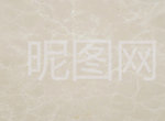 白玉兰