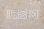 白玉兰圣菲亚