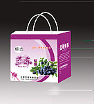 蓝莓手提袋（平面图）