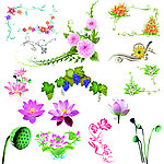花纹