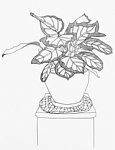 黑白装饰绘画
