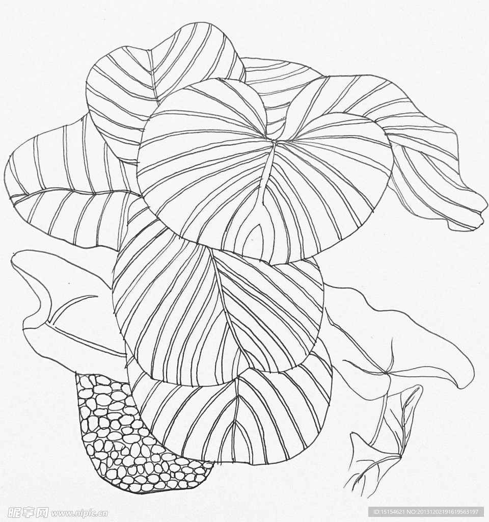 黑白装饰绘画