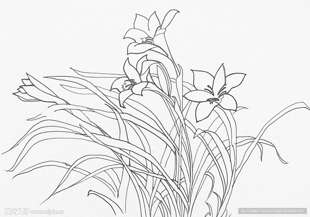 黑白装饰绘画