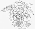 黑白装饰绘画