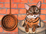 可爱小猫 厨具