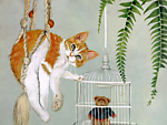 小猫 小熊