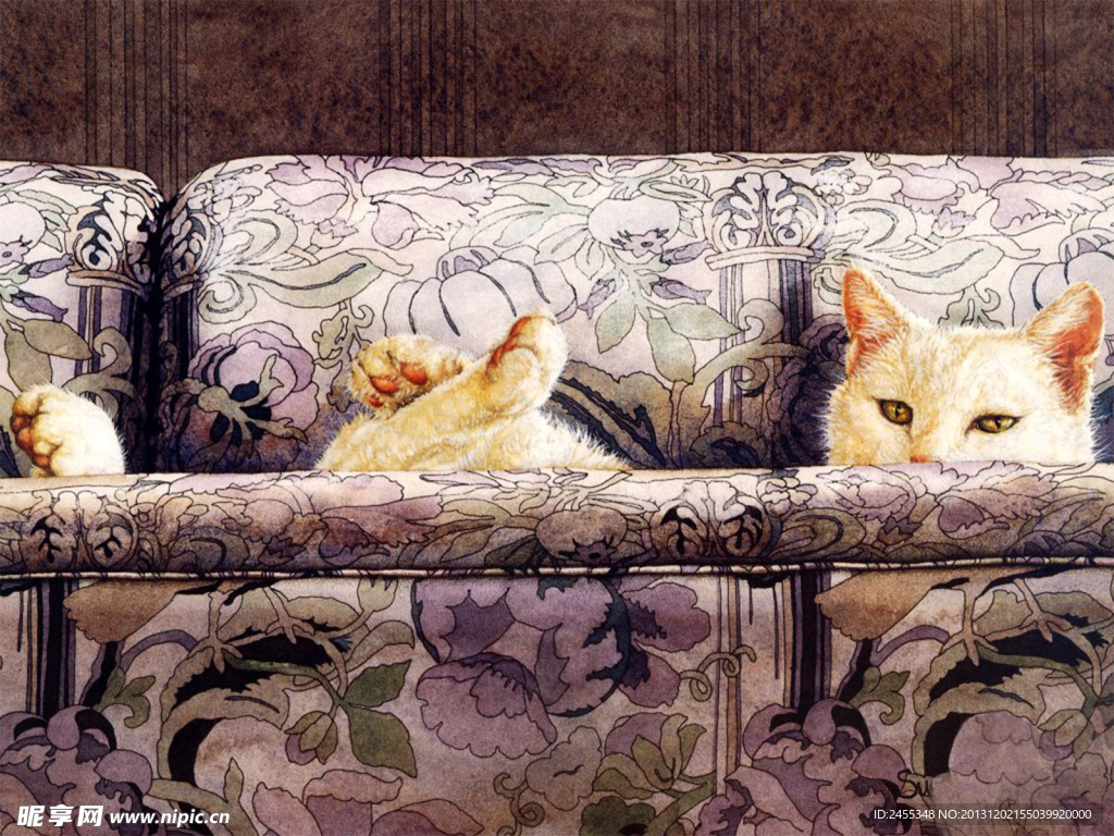 沙发小猫