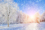 冬季雪景