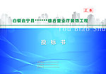 投标书封皮
