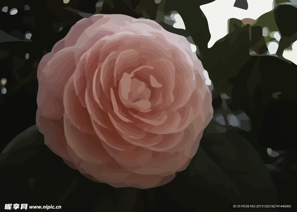 数字油画月季