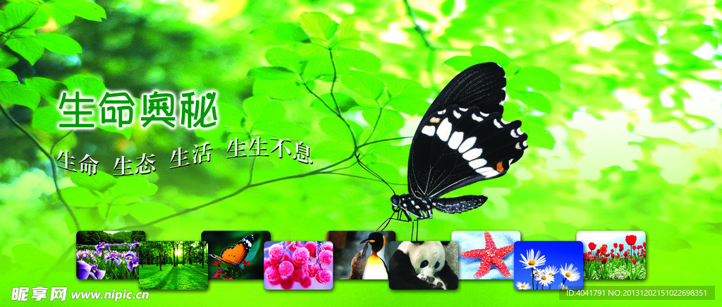 生命的奥秘