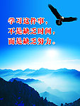 学习这件事