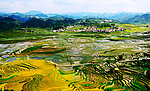 巴平小梯田全景