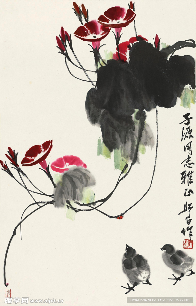 雏鸡牵牛花